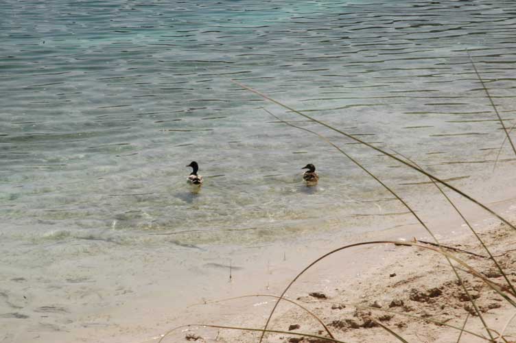 Casa Rural La Ossa Lagunas de Ruidera