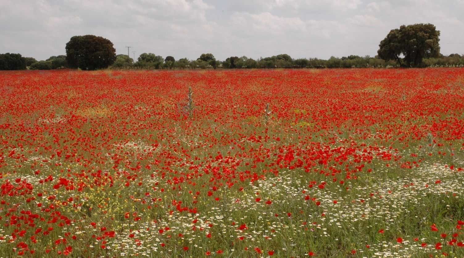 Casa Rural La Ossa Lagunas de Ruidera